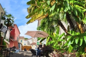 Herceg Novi: Private Walking Tour with Seafood Lunch & Wine