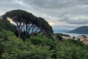 Herceg Novi: to Kotor and Perast by car