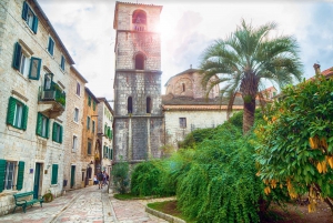 Kotor: City Highlights Private Walking Tour with Tasting