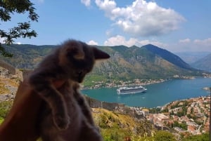 Hiking downhill Krstac to Kotor, visit San Giovanni fortress