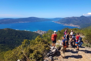 Hiking Vrmac peninsula with panoramic view on Kotor bay