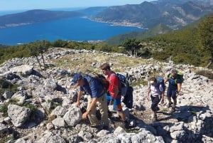 Hiking Vrmac peninsula with panoramic view on Kotor bay