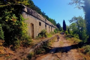 Hiking Vrmac peninsula with panoramic view on Kotor bay