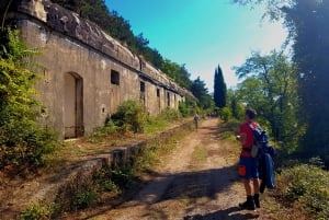 Hiking Vrmac peninsula with panoramic view on Kotor bay