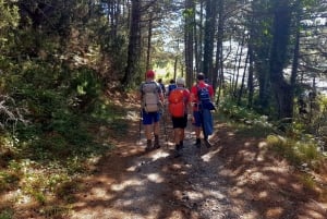 Hiking Vrmac peninsula with panoramic view on Kotor bay