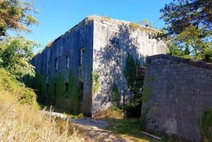Hiking Vrmac peninsula with panoramic view on Kotor bay