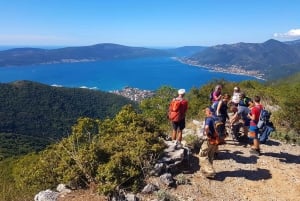 Hiking Vrmac peninsula with panoramic view on Kotor bay