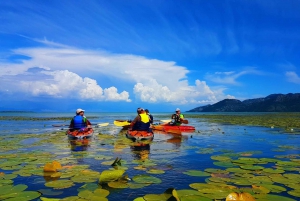 Kayak Guided Tour Skadar lake - Adventure in National park