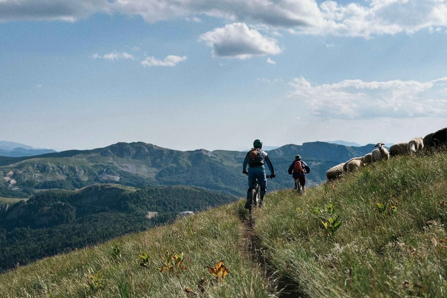Kolasin: Bjelasica Mountain & Biogradska Gora eBike tour