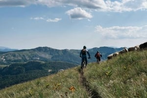 Kolasin: Bjelasica Mountain & Biogradska Gora eBike tour
