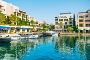 Kotor: 4H | Boka Bay Bliss: Perast, Coastline & Movida Beach