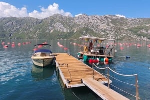 Kotor: All About Mussels Guided Tour