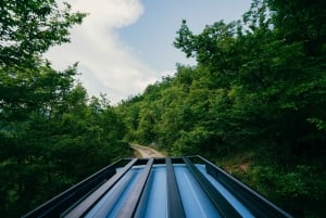 Kotor Bay and Fortresses Off-Road Adventure & Food tasting