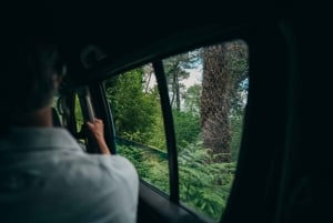 Kotor Bay and Fortresses Off-Road Adventure & Food tasting