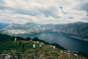Kotor Bay and Fortresses Off-Road Adventure & Food tasting