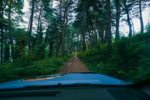 Kotor Bay and Fortresses Off-Road Adventure & Food tasting