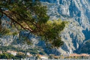 The Mysterious Bay of Kotor
