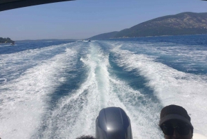 Kotor Bay: Highlight Speedboat tour