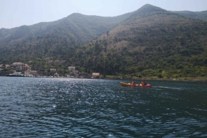 Prčanj: Guided Kotor Bay Kayaking Tour with Cliff Jumping