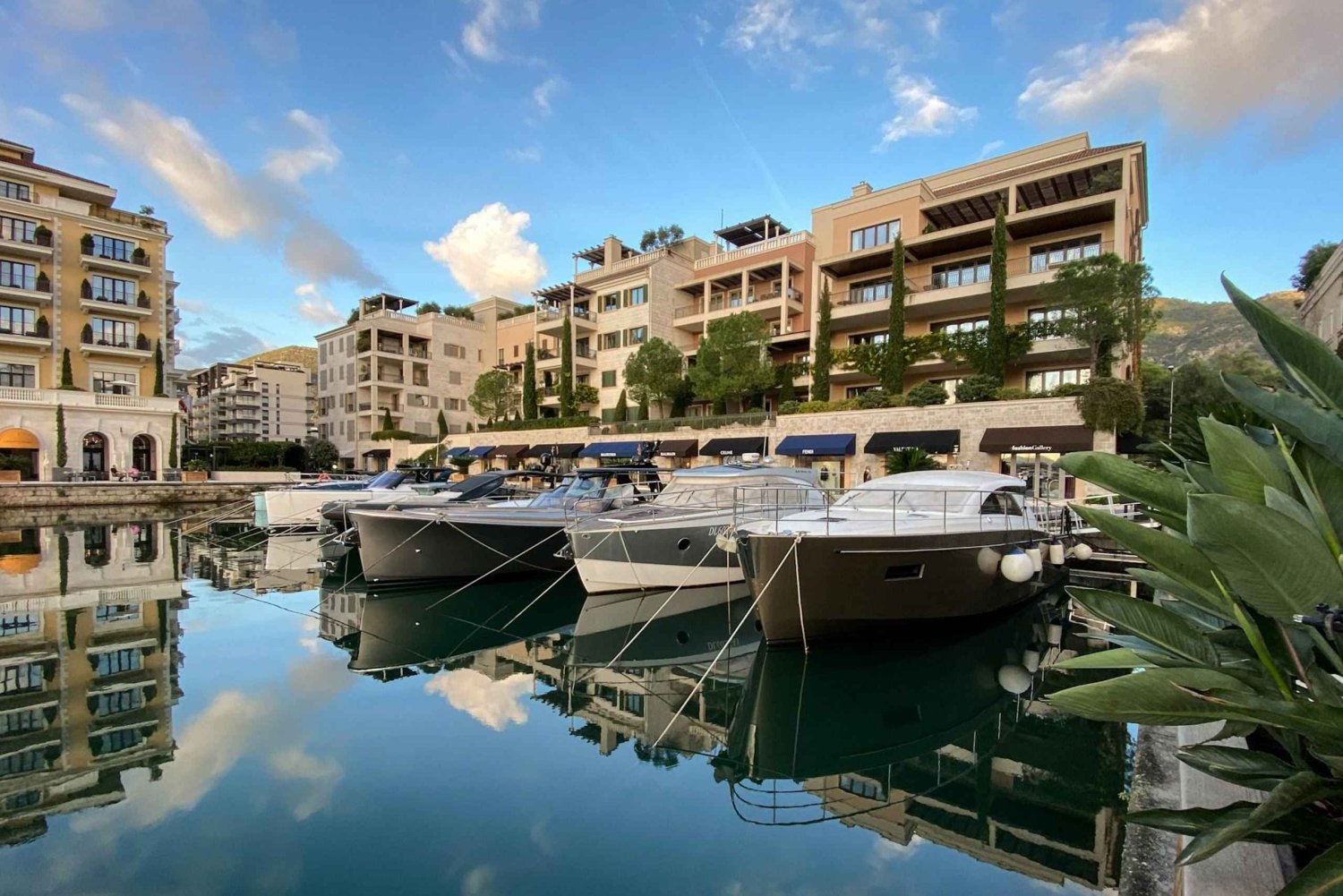 Kotor: Bay of Kotor and Tivat Electric Car Tour