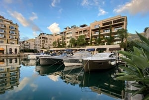 Kotor: Bay of Kotor and Tivat Electric Car Tour