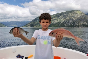 From Bay of Kotor: Blue Cave Private Speedboat Tour