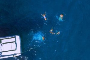 Kotor: Best Views of Kotor with Private Speedboat Tour