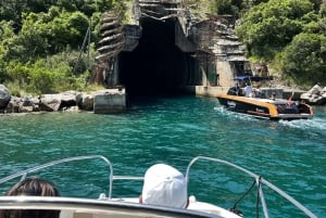 Kotor: Blue Cave and Lady of the Rocks Speedboat Tour