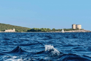 Kotor: Blue Cave Private Boat Tour
