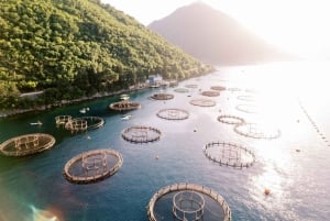 Kotor: Blue Cave tour with swiming time and drinks