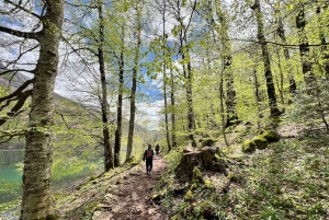 Kotor: Durmitor, Black Lake & Djurdjevica Tara Bridge Tour