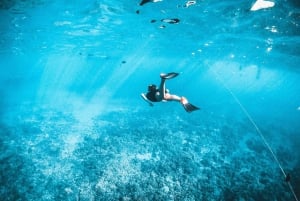 Kotor: Boat Tour with Blue Cave visit and Boka Bay