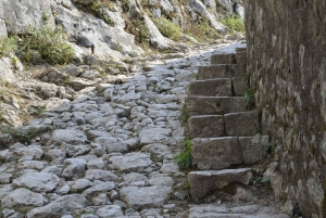 Explore Kotor with Your Family – Walking Tour