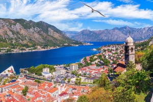 Kotor: Fortifications of Kotor Group or Private Hiking Tour
