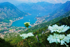 Kotor: Guided Full-Day Tour of Montenegro
