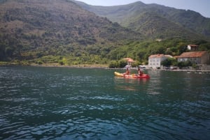 Kotor: Guided Kotor Bay Kayaking Tour