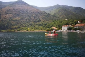 Kotor: Guided Kotor Bay Kayaking Tour