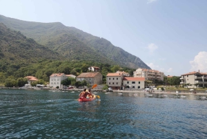 Kotor: Guided Kotor Bay Kayaking Tour