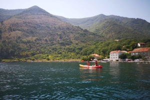 Kotor: Guided Kotor Bay Kayaking Tour