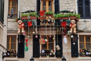 Kotor: Guided Walking Tour of the Old Town