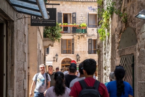 Kotor: Hop-on Hop-off Sightseeing Bus and Walking Tour