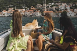 Kotor: Hop-On Hop-Off Speedboat Tour