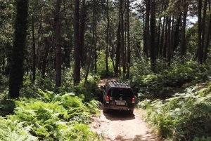 Kotor: Jeep Tour to Hidden Stone Village & Food Tasting