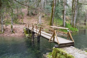 Kotor: Lake Skadar and Biograd Day Trip & Boat Ride