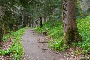 Kotor: Lake Skadar and Biograd Day Trip & Boat Ride