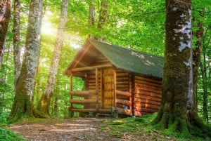 Kotor: Lake Skadar and Biograd Day Trip & Boat Ride