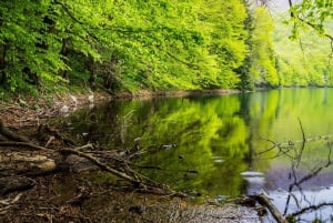 Kotor: Lake Skadar and Biograd Day Trip & Boat Ride