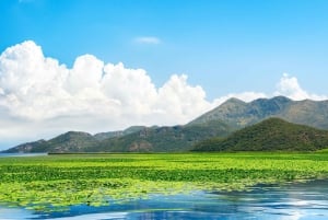 Kotor: Lake Skadar and Biograd Day Trip & Boat Ride