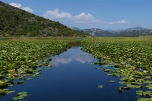 Kotor: Lake Skadar and Biograd Day Trip & Boat Ride