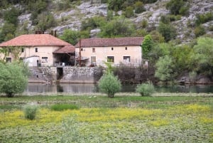 Kotor: Lake Skadar and Biograd Day Trip & Boat Ride